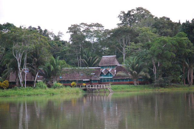 Manu lodge