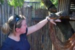 Amazon rescue center: Sylvie et Pancho