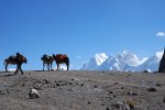 J6: Les burros se reposent au col