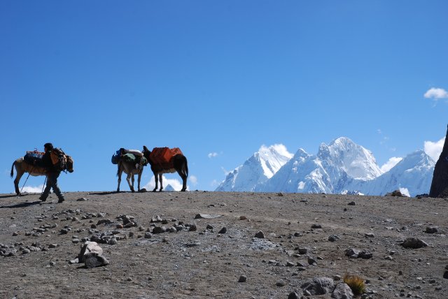 J6: Les burros se reposent au col