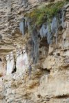 Toujours les sarcophages