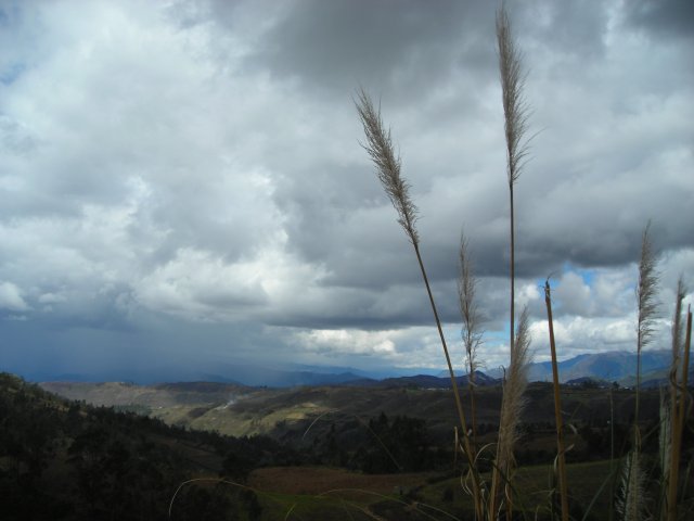 Le paysage (pres de Karajia)