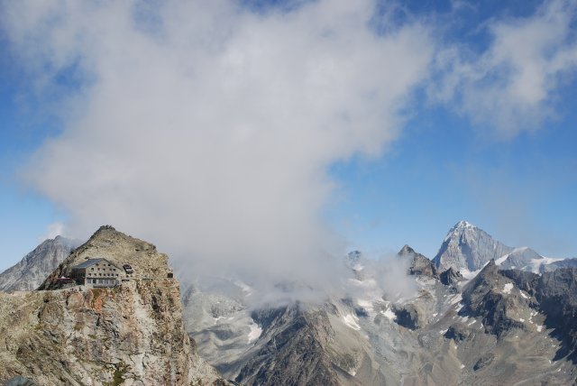 DSC_6530.JPG