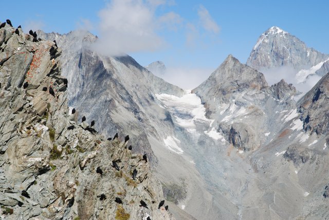 DSC_6549.JPG