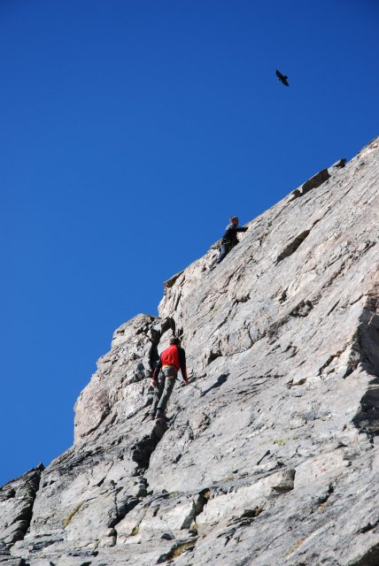 DSC_6653.JPG