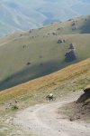 Encore sur la piste
