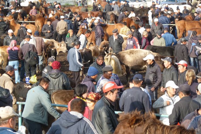 Toujours le marché au bétail